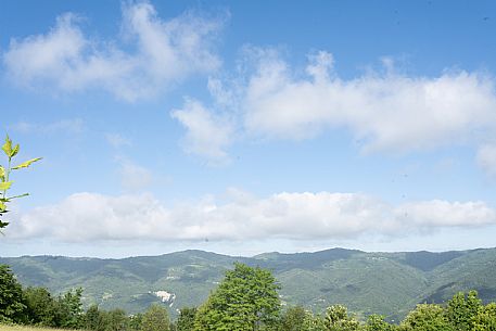 Alta Langa Landscape